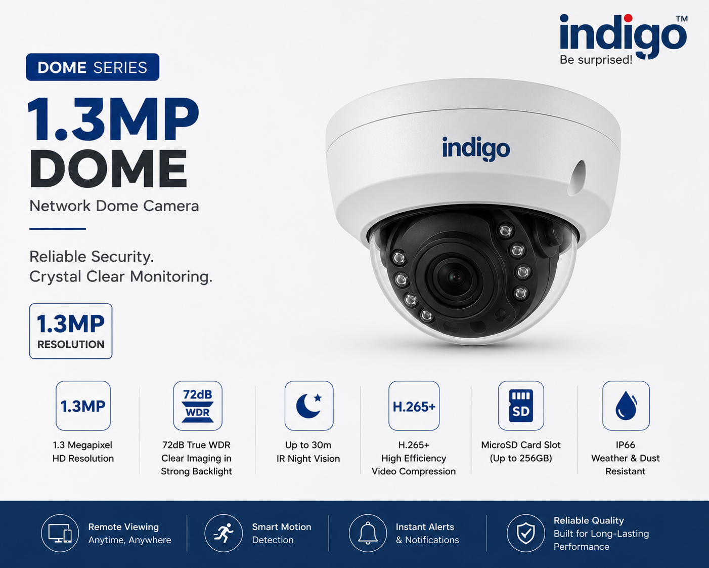 Dome Indigo 1.3MP Dome